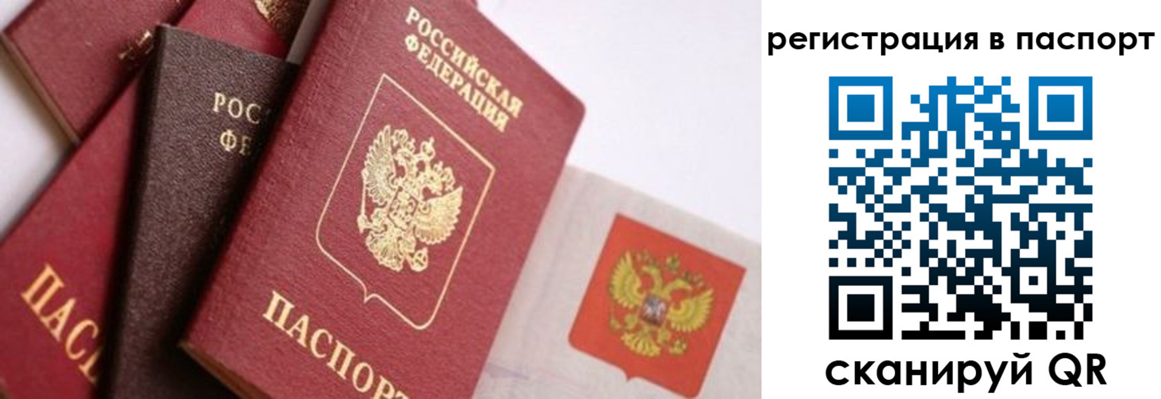 прописка в квартире в Волосово